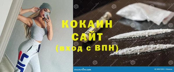 крисы Белокуриха