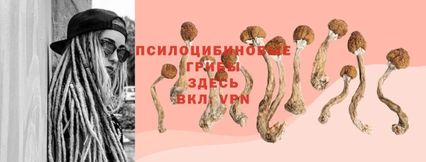 твердый Белоозёрский