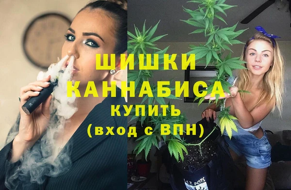 крисы Белокуриха