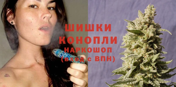 крисы Белокуриха