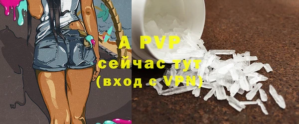 крисы Белокуриха