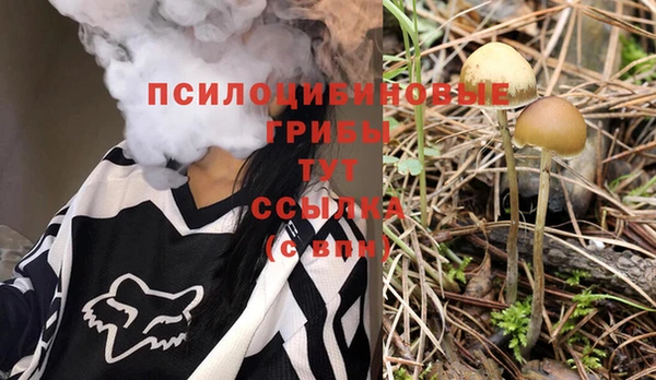 твердый Белоозёрский