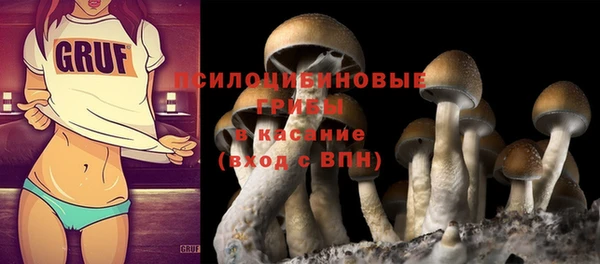 крисы Белокуриха